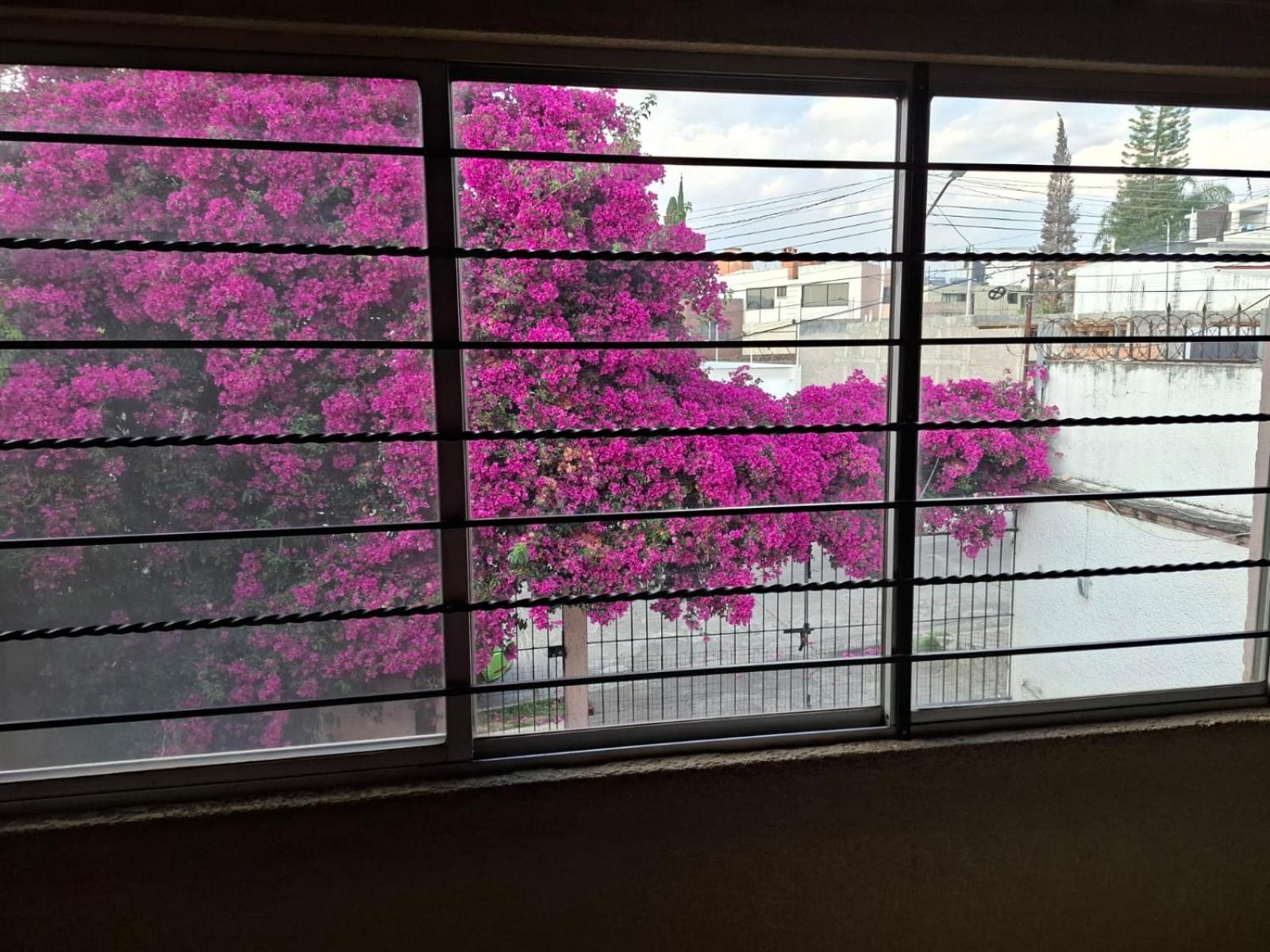 Confortables En Zona Residencial De Vista Bella, Michoacan * Morelia