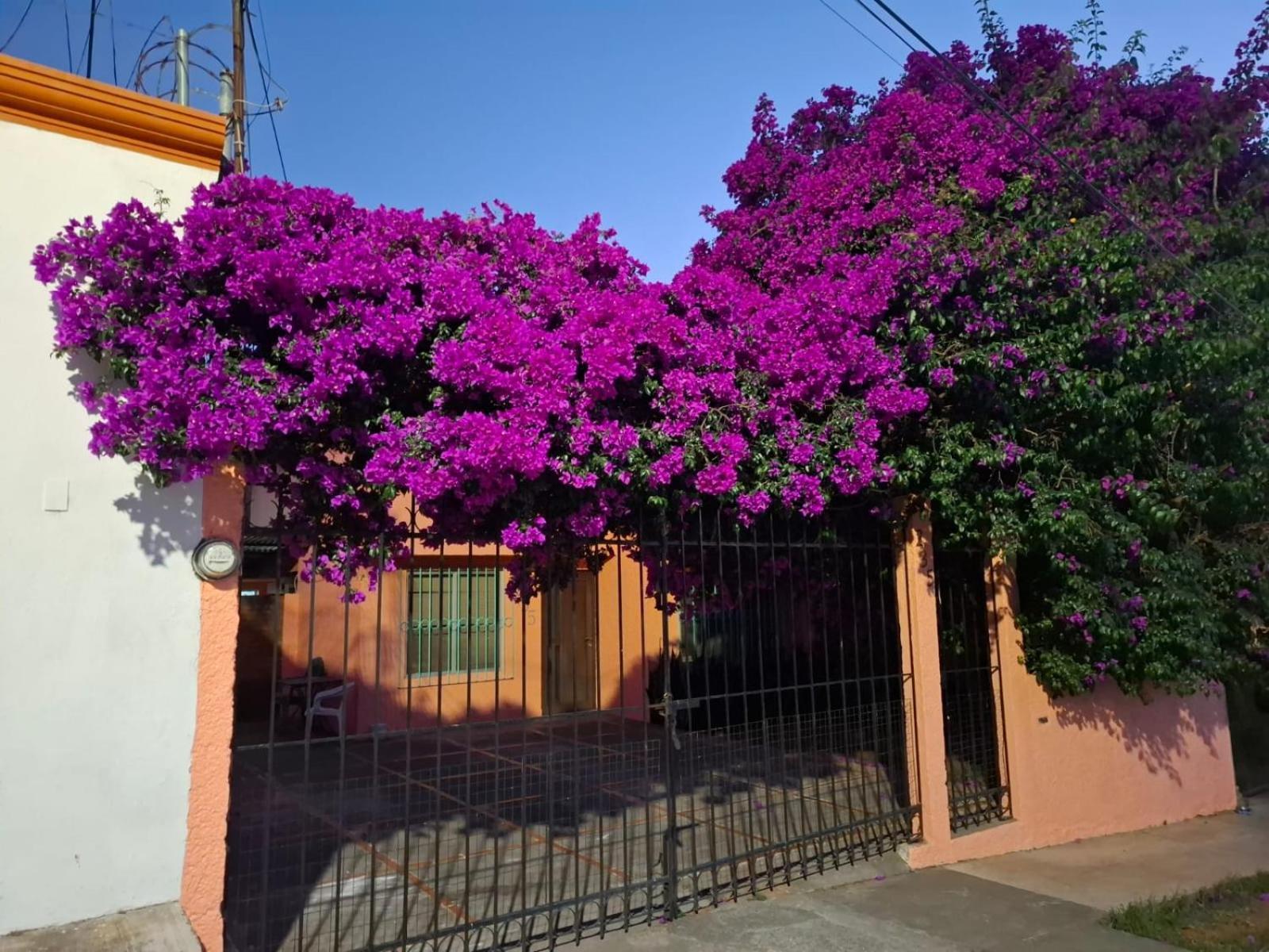 Confortables En Zona Residencial De Vista Bella, Michoacan